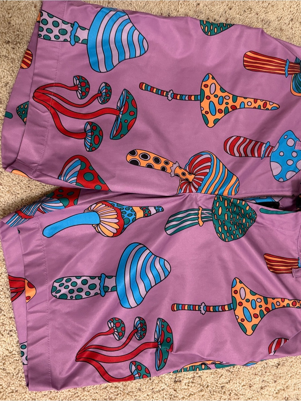Loudmouth Mushroom Print Shorts 36 waist, 9” inseam
